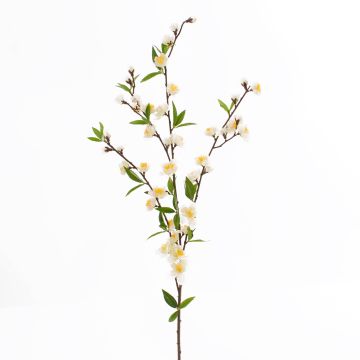 Rama de cerezo en flor KATHRIN, floración, blanco, 65cm