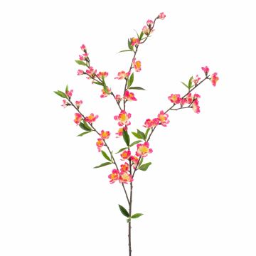 Rama de cerezo en flor KATHRIN, floración, rosa-crema, 65cm
