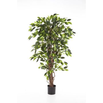 Ficus Benjamini de imitación JARLAN, troncos reales, verde, 120cm