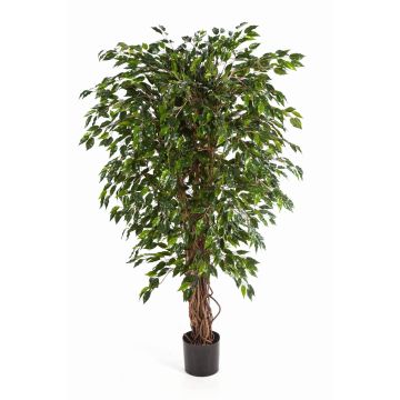 Ficus Benjamini de plástico DAKU, tallos naturales, verde, 90cm
