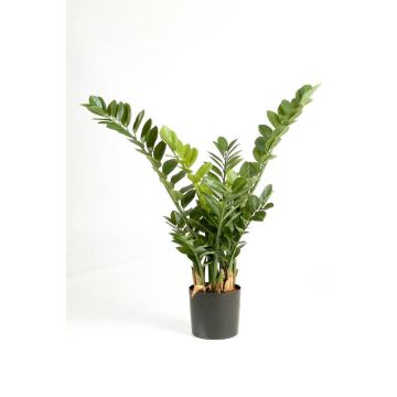 Planta falsa Zamioculcas Zamiifolia AKONO, 100cm