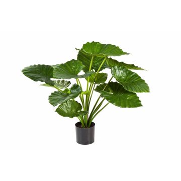 Colocasia de plástico SALONI, verde, 75cm