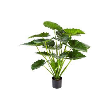 Colocasia de plástico SALONI, verde, 95cm