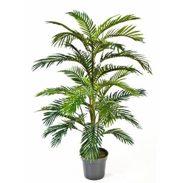 Palma areca de plástico JENNICA, 120cm