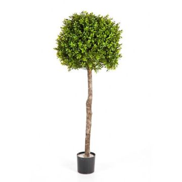 Arbol de boj de plástico TOM, tronco natural, 105cm, Ø40cm