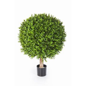 Arbol de boj de plástico TOM, tronco real, 55cm, Ø40cm