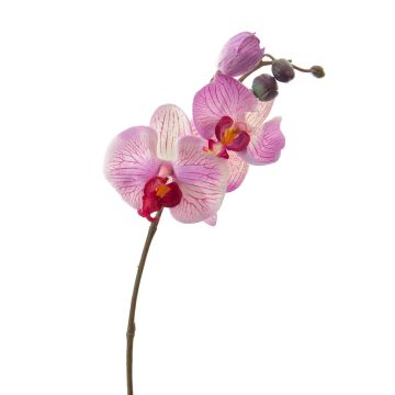 Rama de orquídea Phalaenopsis de plástico VANESSA, rosa-rosa, 30cm