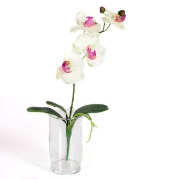 Orquídea Phalaenopsis artificial MADOU, con palo, blanco-rosa, 40cm