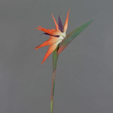 Ave del paraíso artificial ZAMIRA, naranja-morado, 95cm, 16x30cm