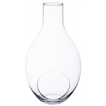 Botella terrario de cristal VINELLA, transparente, 38cm, Ø22cm