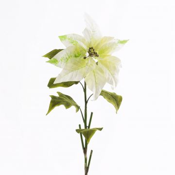 Flor de Pascua artificial FLAVIA, crema, 70cm, Ø20cm