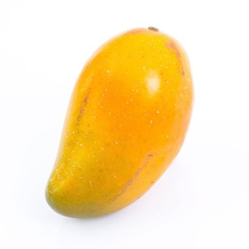 Mango decorativo FLORISA, naranja-amarillo, 13cm, Ø8cm