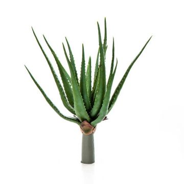 Aloe vera de plástico ALEYNA con palo, verde, 50cm, Ø40cm