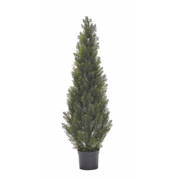 Cedro de plástico EDELA, para zonas resguardadas, verde, 120cm