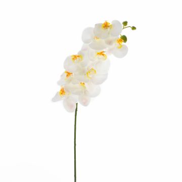 Rama textil de orquídea Phalaenopsis OPHELIA, blanca, 100cm