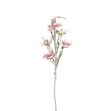Magnolia de plástico NEYLA, para zonas resguardadas, blanco-rosa, 100cm, Ø12-14cm