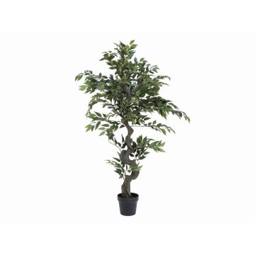 Falso ficus benjamina YUMA, tronco decorativo, 110cm