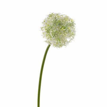 Allium de plástico SAMARA, crema, 75cm, Ø12cm