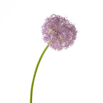 Allium de plástico SAMARA, morado, 75cm, Ø12cm