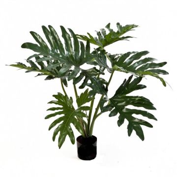 Filodendro paraguayo de plástico LAINA, 60cm