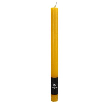 Vela larga AURORA, amarillo, 27cm, Ø2,2cm, 10h - Made in Germany