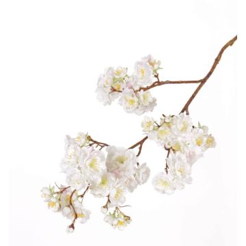 Rama falsa de cerezo ornamental japonés RUKIA, floración, blanco, 90cm