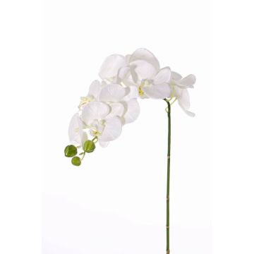 Rama de orquídea de plástico GALINA, crema, 45cm