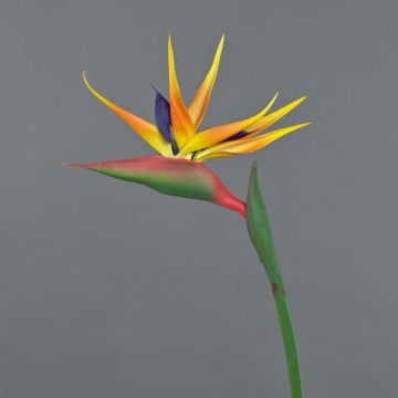 Estrelicia artificial LATIFA, naranja-morado, 80cm, 17x20cm