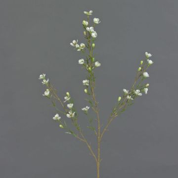 Flor de cera de plástico NIANG, crema, 80cm, Ø2-3cm