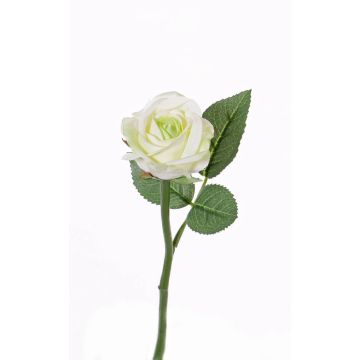 Rosa artificial GABI, verde-crema, 25cm, Ø5cm