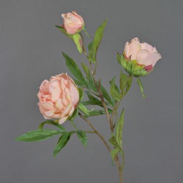 Rama textil de peonía MANJA, rosa, 70cm, Ø8-10cm