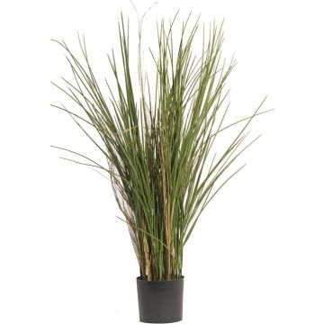 Carrizo de plástico DELSIN, para espacios resguardados, verde-marrón, 80cm