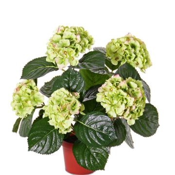 Flor artificial hortensia TEMARI, verde, 40cm, Ø10-12cm