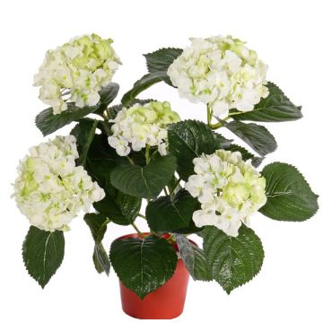 Flor artificial hortensia TEMARI, verde crema, 40cm, Ø10-12cm