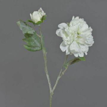 Peonía de plástico MALINA, nieve, crema, 60cm, Ø12cm