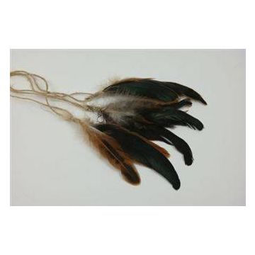 colgante decorativo de plumas HUBERTA, 3 piezas, marrón, 15-20cm 