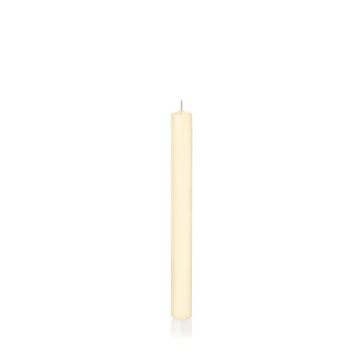 Cirio / vela larga TARALEA, crema, 25cm, Ø2,3cm, 14h - Fabricado en Alemania