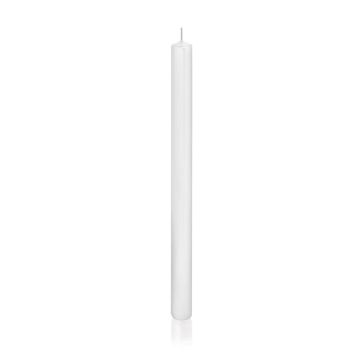 Cirio / vela larga TARALEA, blanca, 35cm, Ø2,3cm, 18h - Fabricada en Alemania