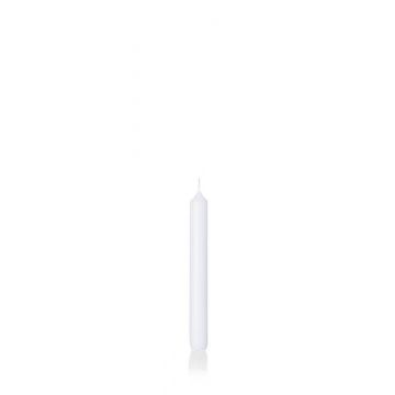 Cirio largo / Candela puntiaguda CHARLOTTE, blanco, 18,5cm, Ø2,1cm, 6,5h - Hecho en Alemania