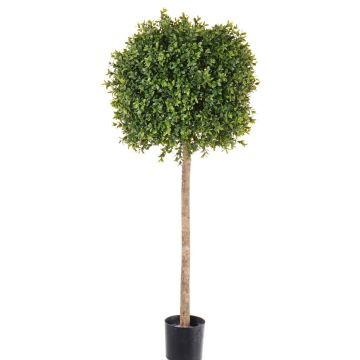 Árbol de boj de plástico THORIS, tronco real, 105cm, Ø40cm