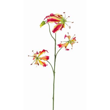 Gloriosa de imitación TIANA, fucsia-verde, 80cm, Ø8-15cm