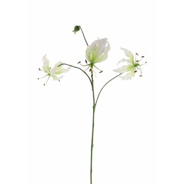 Gloriosa de imitación TIANA, blanco-verde, 80cm, Ø8-15cm
