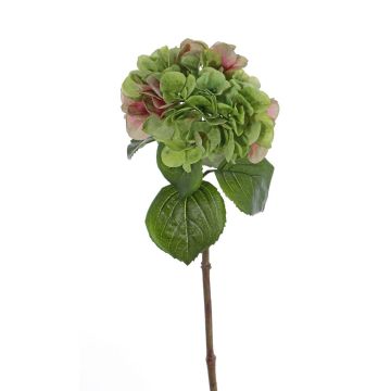 Hortensia sintética CHIDORI, verde-rosa, 60cm, Ø20cm
