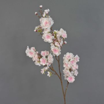 Rama falsa de cerezo ornamental japonés RUKIA, floración, rosa claro, 90cm