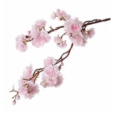 Rama falsa de cerezo ornamental japonés RUKIA, floración, rosa claro, 90cm