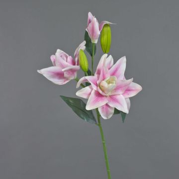 Lirio de plástico ISALIE, rosa-blanco, 80cm, Ø15cm