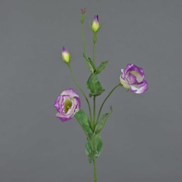 Lisianthus de plástico JUDIKA, verde-violeta, 70cm, Ø5cm