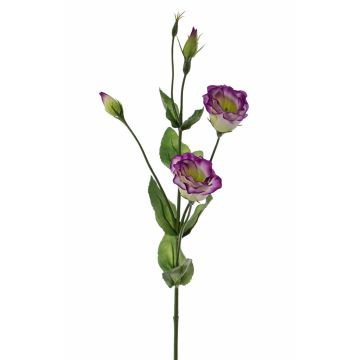Lisianthus de plástico JUDIKA, verde-violeta, 70cm, Ø5cm