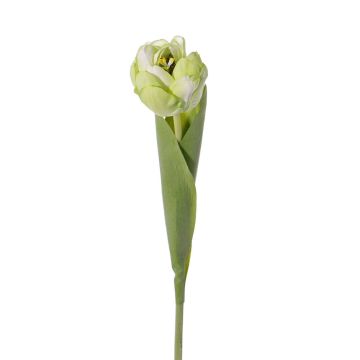Tulipán de plástico ROMANA, verde-blanco, 45cm, Ø6cm