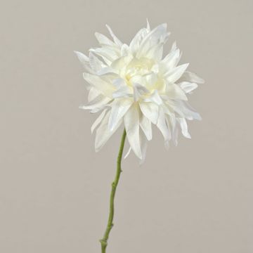 Dalia artificial SMILA, crema, 55cm, Ø12cm